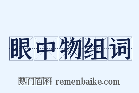 眼中物组词是什么意思的图片